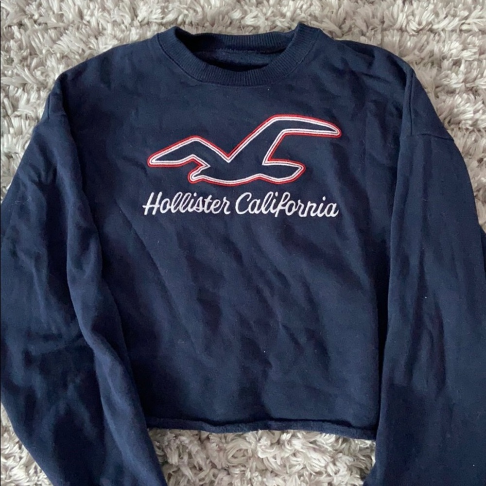 🦋Hollister crewneck